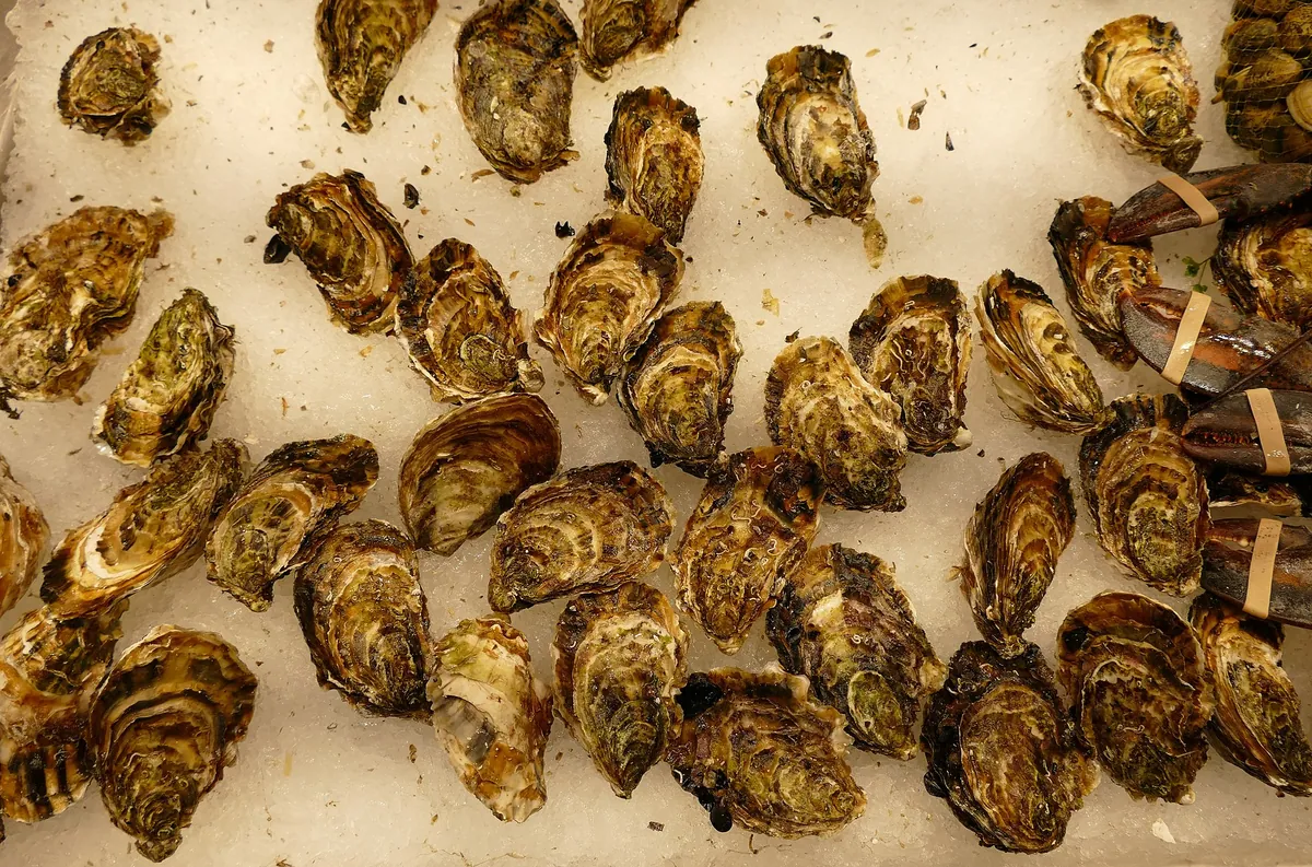 Seafood food typical of Aqua
